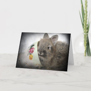 Lionhead Bunny and Teacup All Occasions  Card