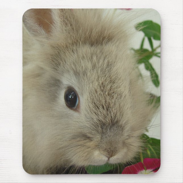 Lionhead Bunny Mouse Pad (Front)