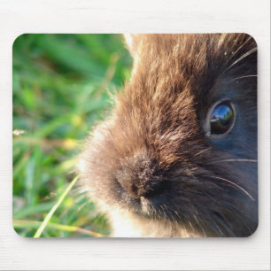 Lionhead Bunny Mouse Pad