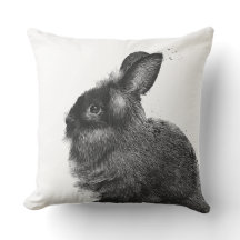 Lionhead Rabbit