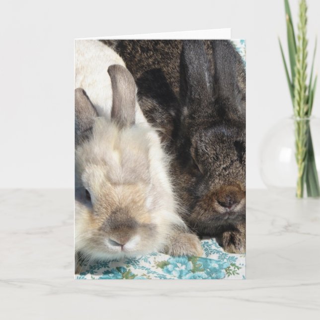 Lionhead Rabbits Card (Front)