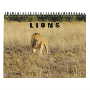 LIONS  - ALL LIONS CALENDAR