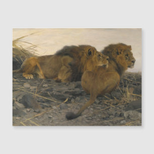 Lions at Watch by Wilhelm Kuhnert