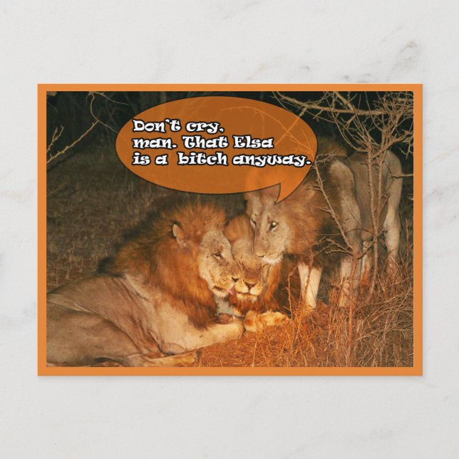 Lions being comforting postcard (Front)