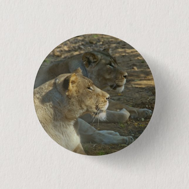 Lions Button (Front)