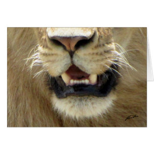(Lions Clubs) Lion's Nose & Mouth (Masai Mara)