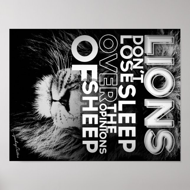 Lions don't lose sleep over the opinions of sheep poster (Front)