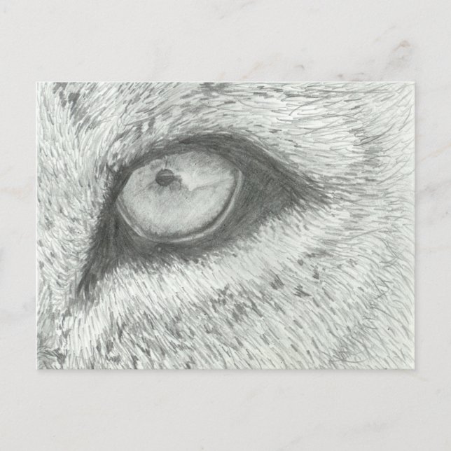 Lion's Eye | Customisable Postcard (Front)