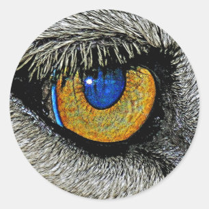 Lions Eye, Realistic Poster Classic Round Sticker