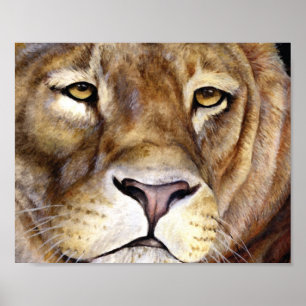 Lions face fine art poster