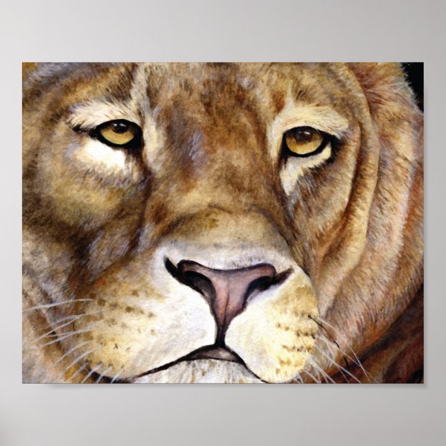 Lions face fine art poster (Front)