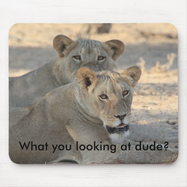 Lions funny mouse pad (Front)