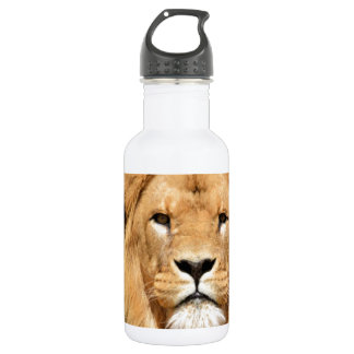 Lions Head 532 Ml Water Bottle