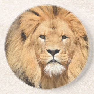 Lions Head Coaster