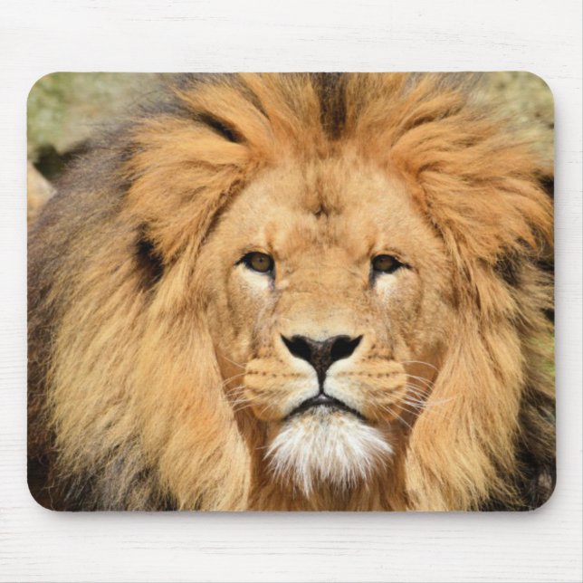 Lions Head Mouse Pad (Front)