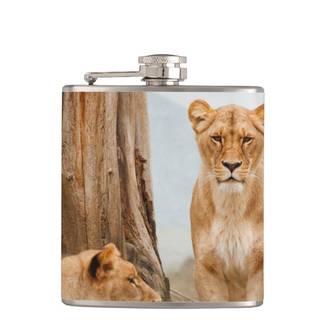 Lions Hip Flask (Front)