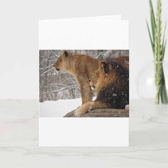 Lions Holiday Card (Front)