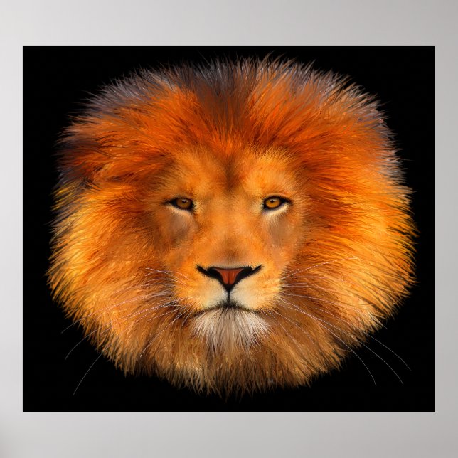 Lion's Mane Poster Art (Front)