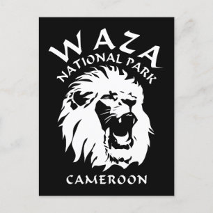 Lions Of Waza National Park - Cameroon Postcard