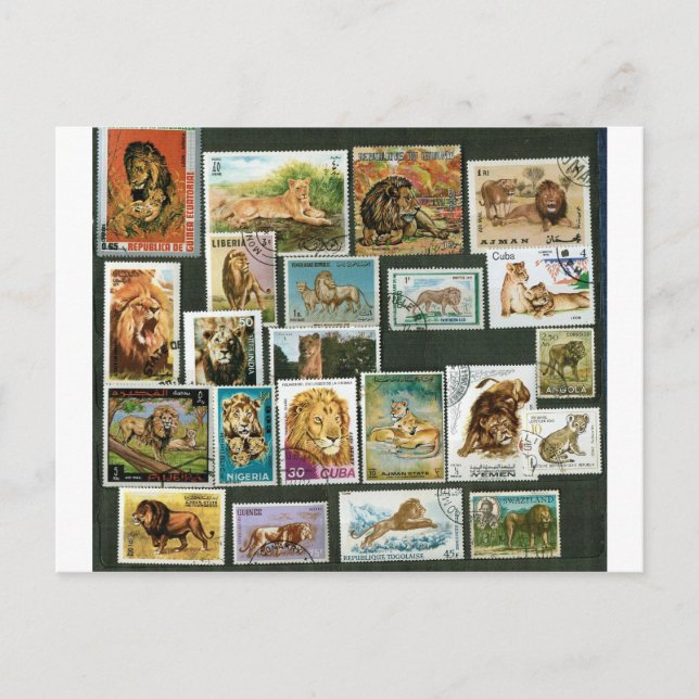 Lions on stamps postcard (Front)