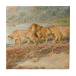 Lions on the Bank of an African River Ceramic Tile