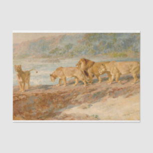 Lions on the Bank of an African River Tissue Paper