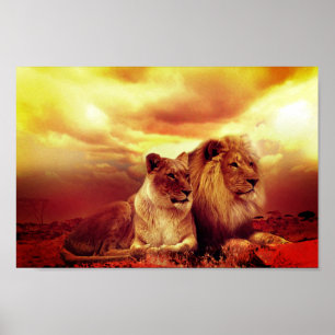 Lions Poster