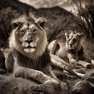 Lion's Rest - Black and White Jigsaw Puzzle