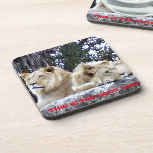 Lions Resting on Rock with Good Life Message Coaster