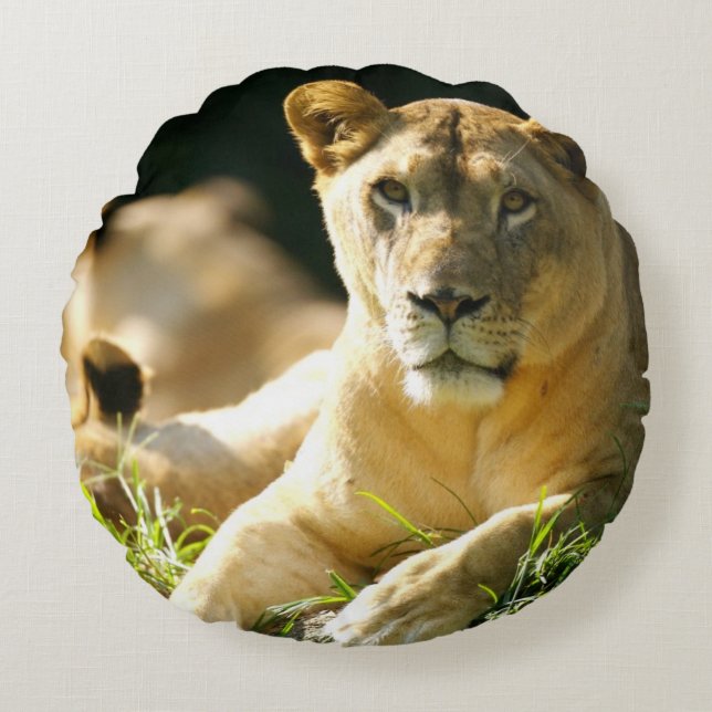 Lions Round Cushion (Front)