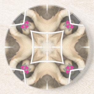 Lion's share coaster