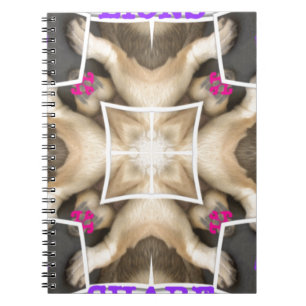 Lion's share notebook