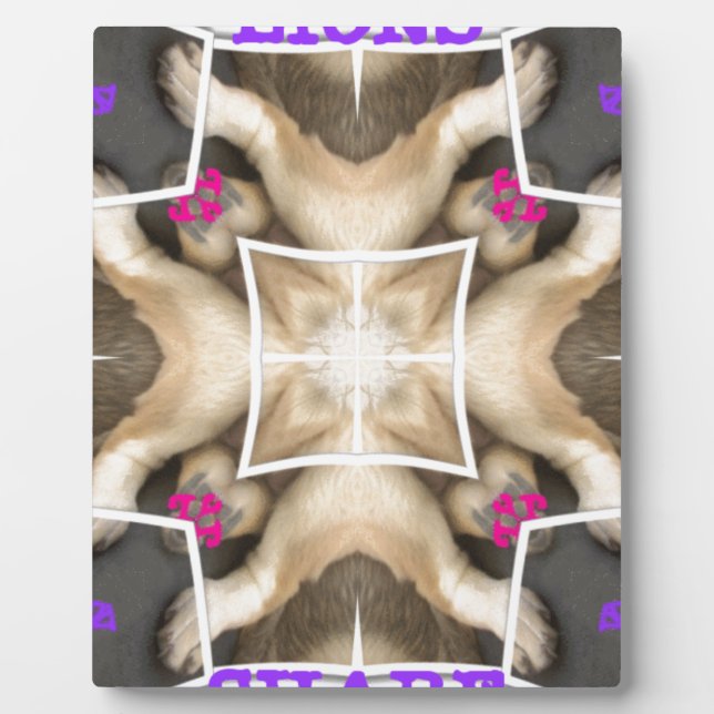 Lion's share plaque (Front)