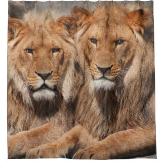 Lions Shower curtain