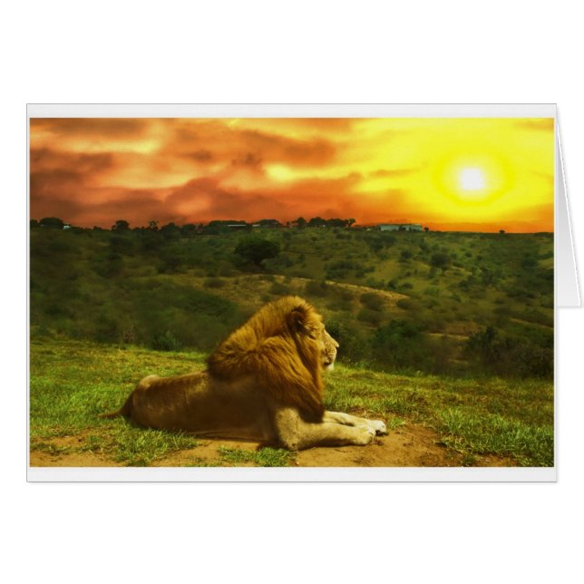 Lion's View (Front Horizontal)