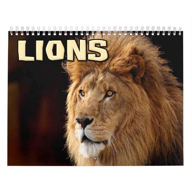 Lions Wall Calendar (Cover)