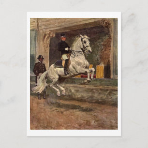 Lipizzan Dressage Postcard