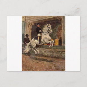 Lipizzan Stallion Dressage Postcard