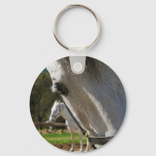 Lipizzaner horse key ring