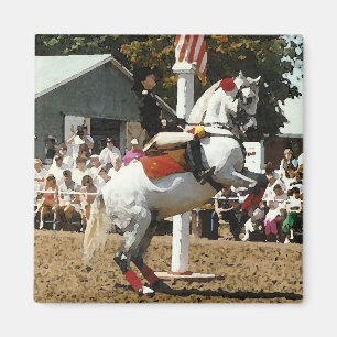 Lippizan horse magnet