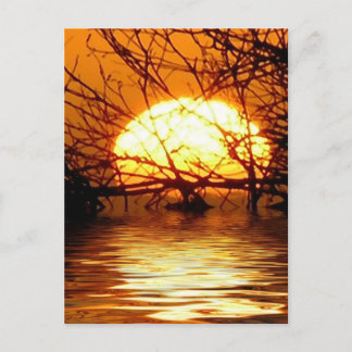 Liquid Sunset Vertical Postcard