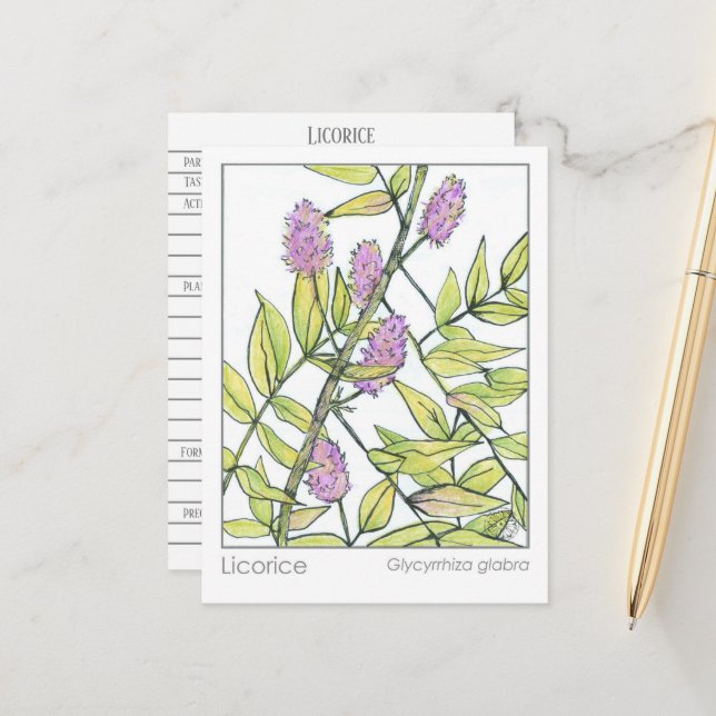 Liquorice Herb Materia Medica Herbal Study Card (Front/Back In Situ)