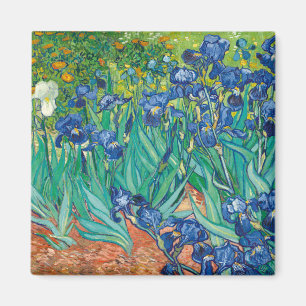 Lirios de Van Gogh Magnet