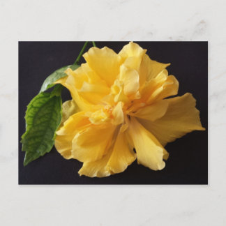 Lisa 1 - educatedbrainfart postcard