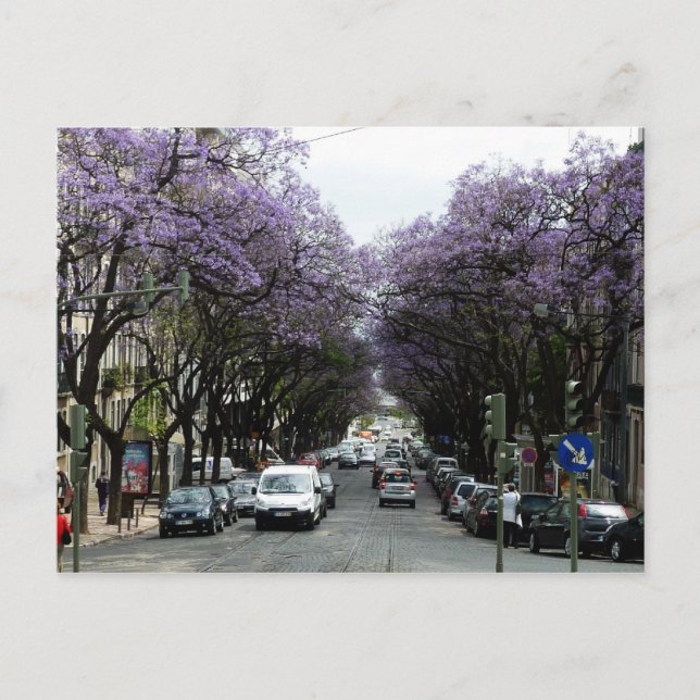 Lisbon Purple Flowers Postcard (Front)