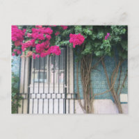 Lisbon Tiles & Flowers Bouganvillea