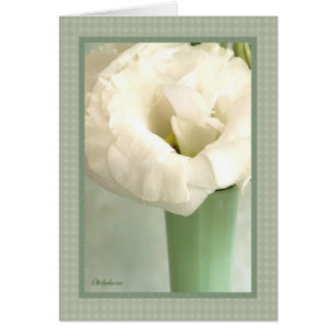 Lisianthus in green