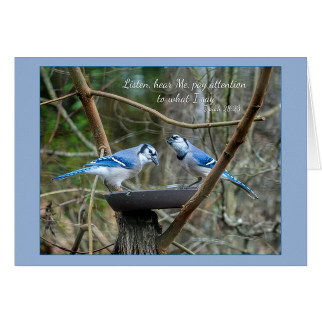 Listen, Hear me Blue Jays Parakaleo note card (Front Horizontal)