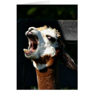 Listen to me!