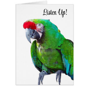Listen Up Greeting Card